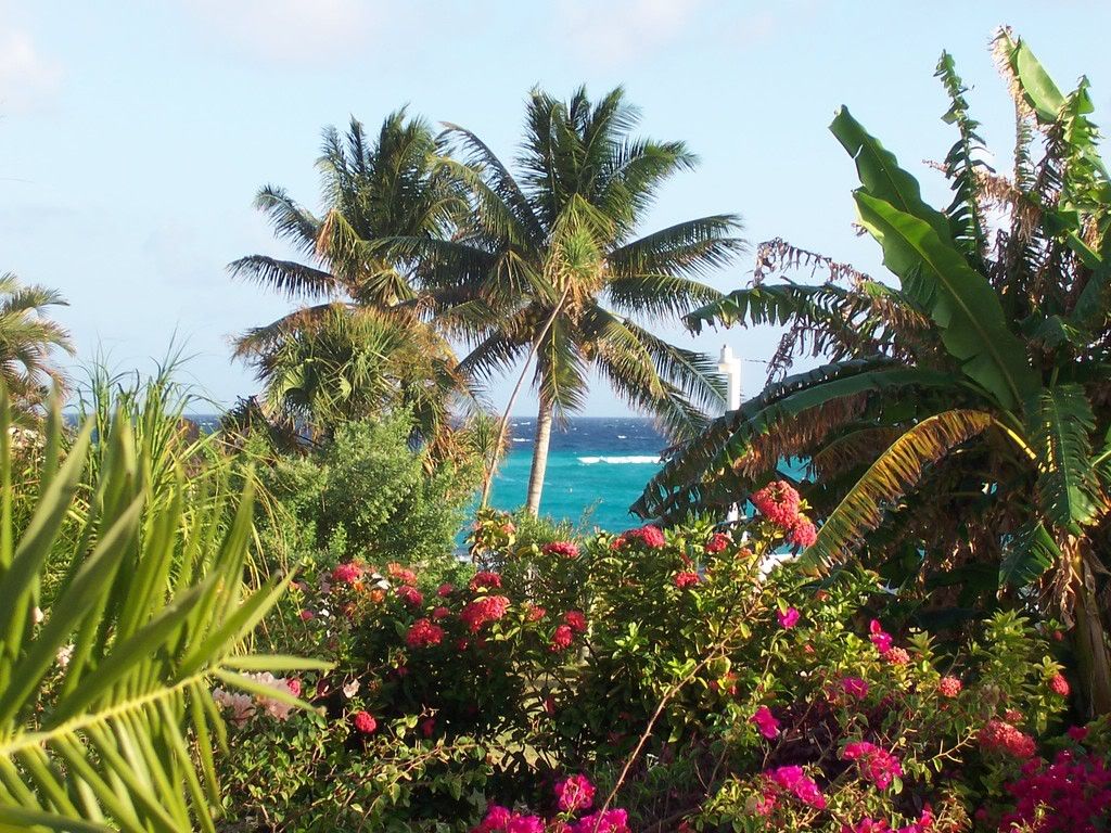 view from El Garrafon Hotel