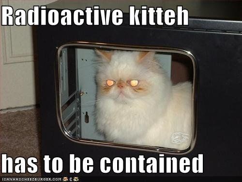 lolcat2.jpg