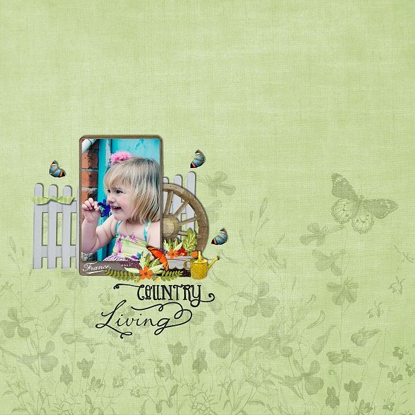 photo blueflowerart_CountryLiving_paper-8 chicks57_zps8nlwinn6.jpg