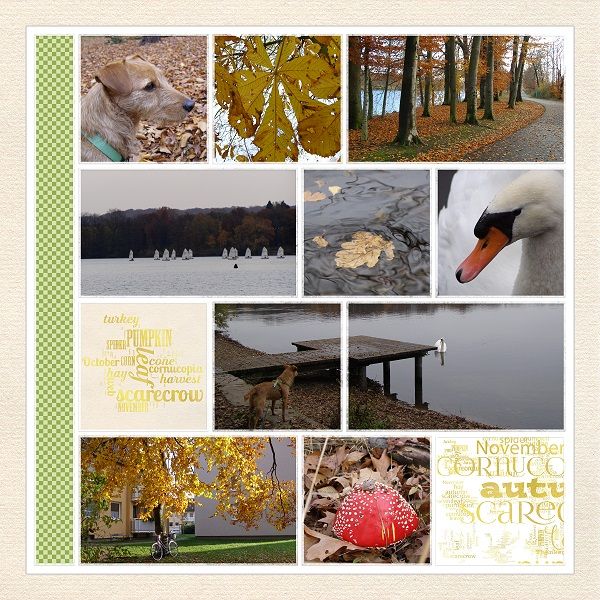 photo NBK-M-M-tp-multi-09_zps786f4fc6.jpg