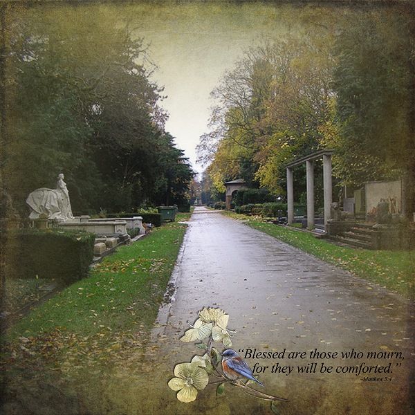 photo Aria_LifeLineforGrief_P3_zps1a6a49d7.jpg