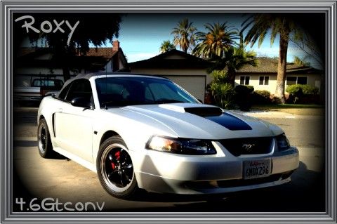 Lowered 2 on SVE lowering springs Mach 1 Grill delete pedals hood