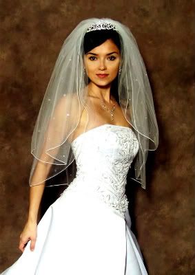 bride hairstyles and beautiful veil