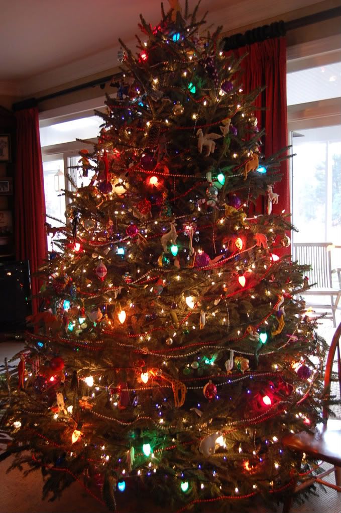ChristmasTree2008.jpg
