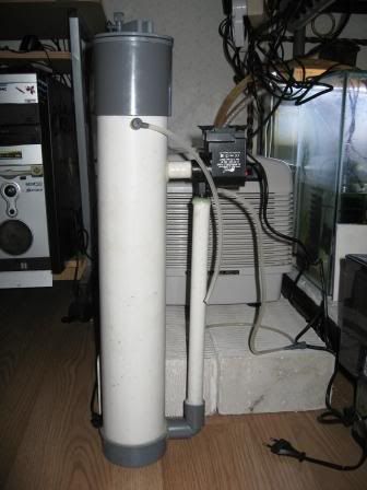 IMG_1468.jpg