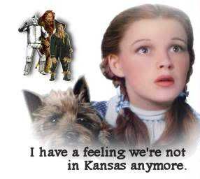 http://i290.photobucket.com/albums/ll244/Susy_Q2/Silly/cinema-not-in-kansas.jpg