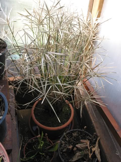 00marzo2010013.jpg