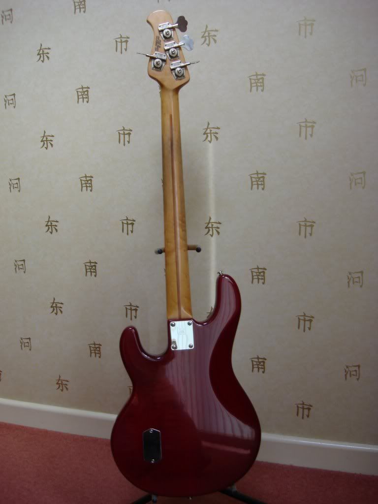 DSC01828.jpg