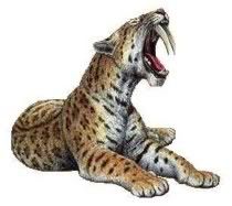 Tigre o león dientes de sable Tigre o león dientes de sable