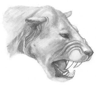 Tigre o león dientes de sable Tigre o león dientes de sable