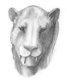 dientes de sable dientes de sable