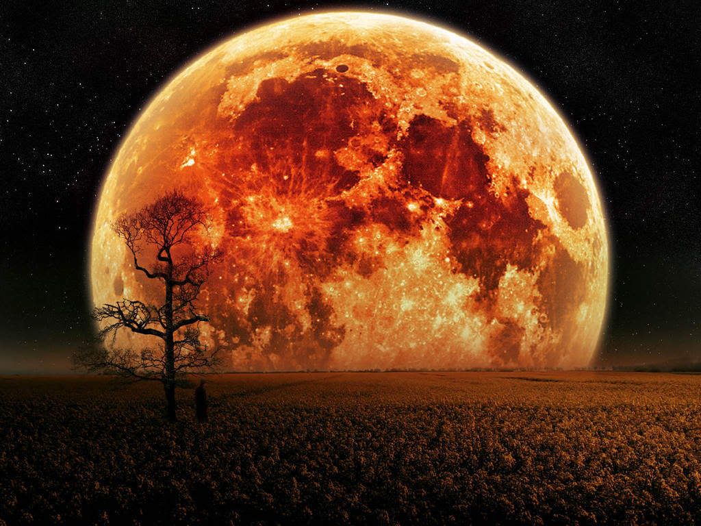 red planet bg Pictures, Images and Photos