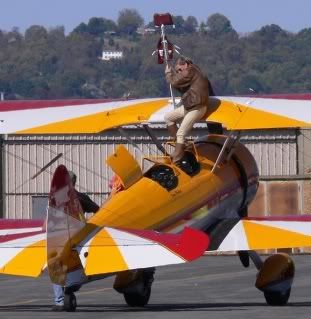 http://i290.photobucket.com/albums/ll247/drrivah1/JYO%20Oct%2023%202010%20Airshow/SmP1150169AuroraWickerAdjustsRig5PreflightCrop2.jpg