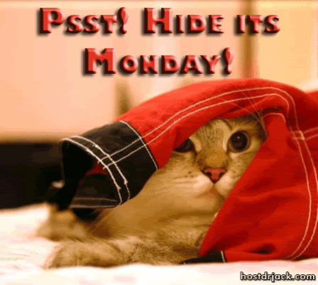 yikes, monday! Pictures, Images and Photos