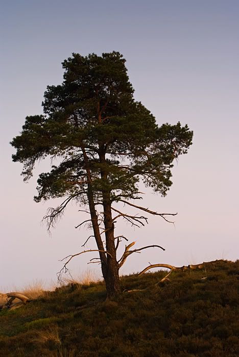 Fotografie