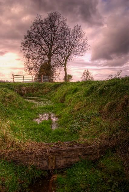 Fotografie
