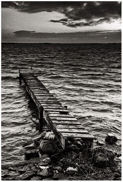 Fotografie