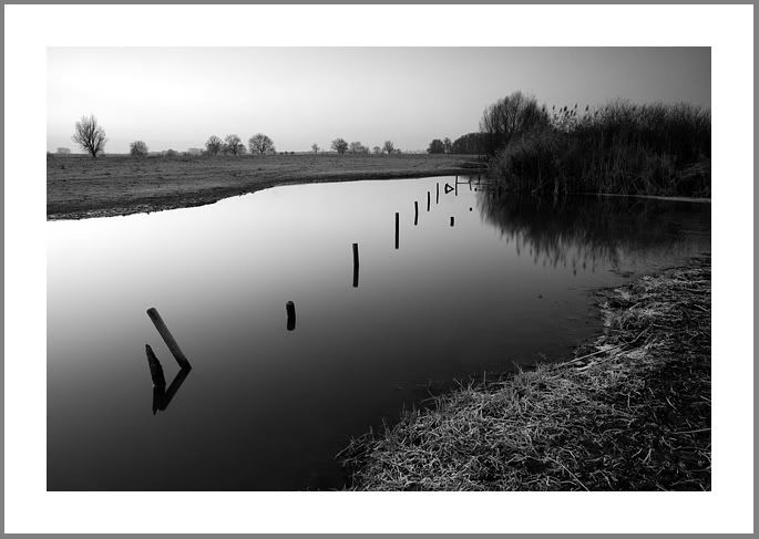Fotografie