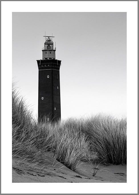 Fotografie