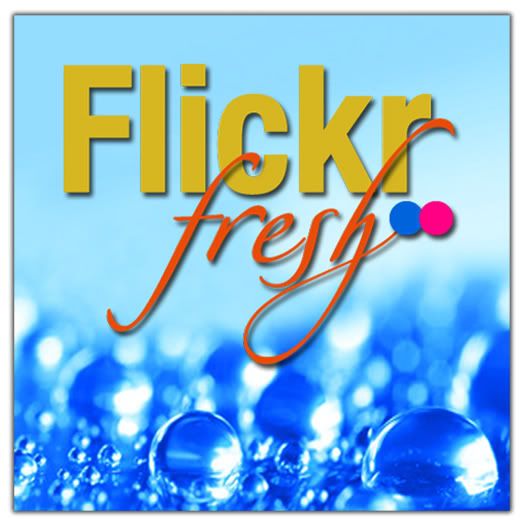 Flickr Fresh