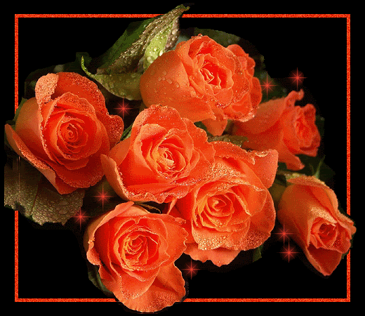 http://i290.photobucket.com/albums/ll251/LA_VIDA_ES_BELLA_4/Rosas20anaranjadas.gif