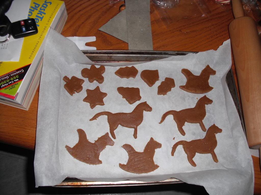 horses