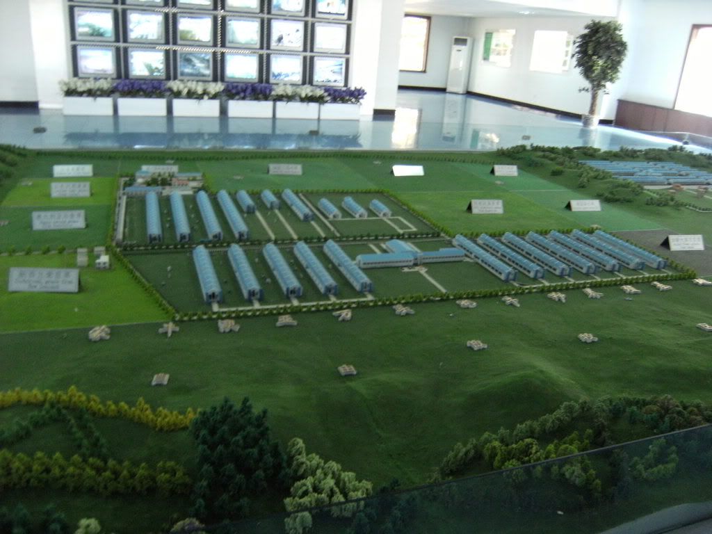 Immagine024.jpg model of 5000 cow farm image by jarrodziemer