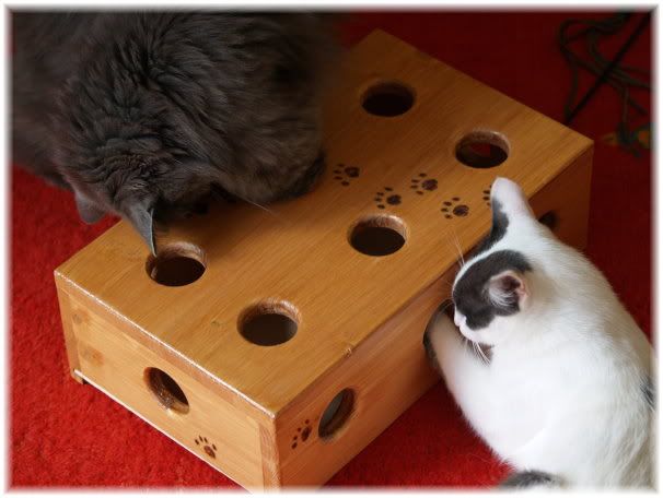 200609-Box-2.jpg