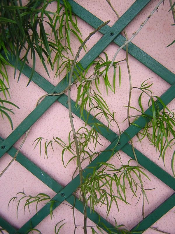 DSCN4491.jpg