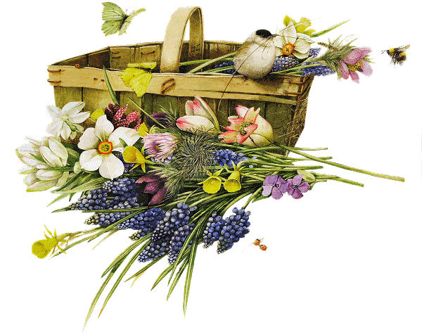 mazb1esy.gif picture by 888888_03