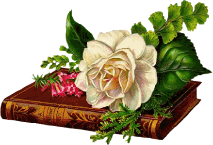 mm.gif picture by 888888_03