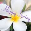 spring.jpg Happy Spring image by 1stopmyspacecomments