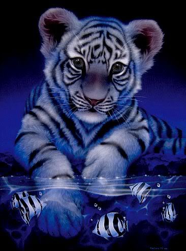 essay on white tigers essay on white tigers