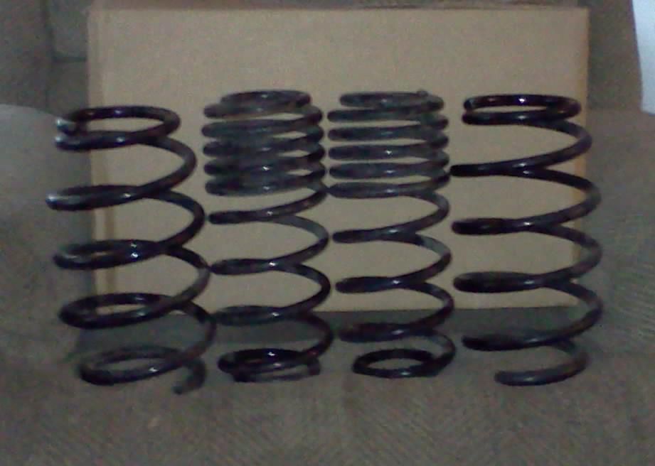 meganracingsprings.jpg?t=1350195799