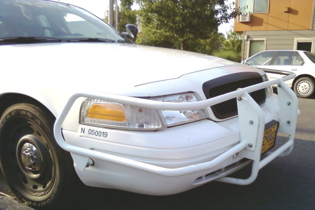 PortlandPolicecarGrillgaurd.jpg