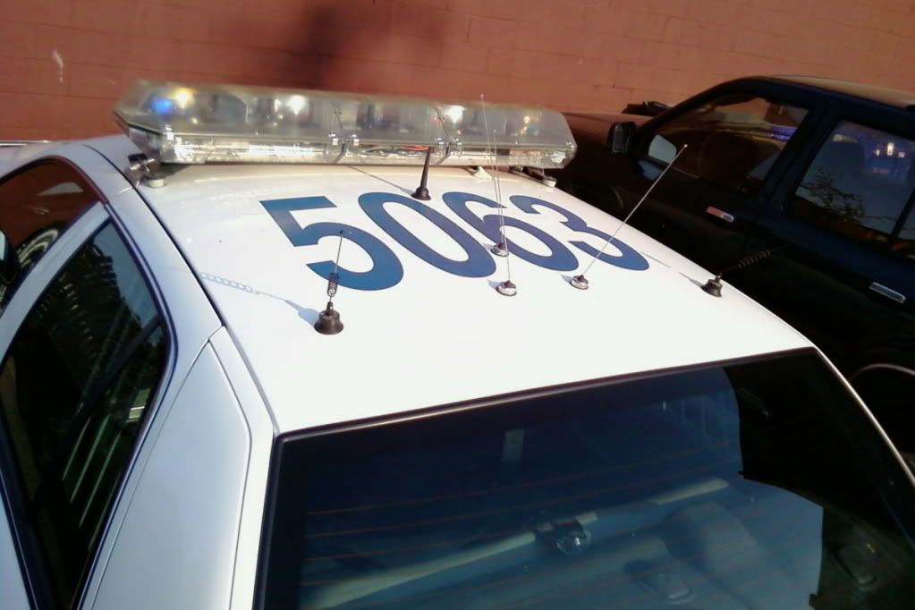 PortlandPolicecarRoof.jpg Portland Police car 6 image by Suzukiholic