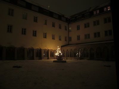 bor u samostanu nocna 6