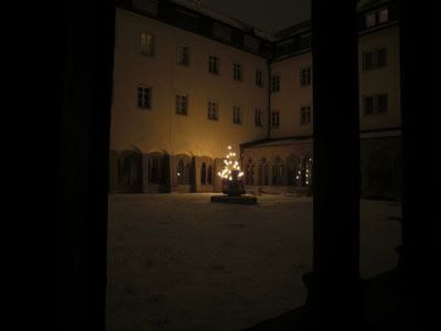 bor u samostanu nocna 4