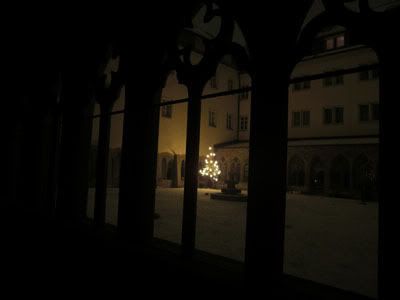 bor u samostanu nocna 5