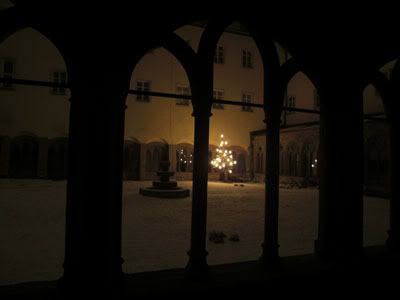 bor u samostanu nocna 3