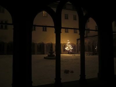 bor u samostanu nocna 2