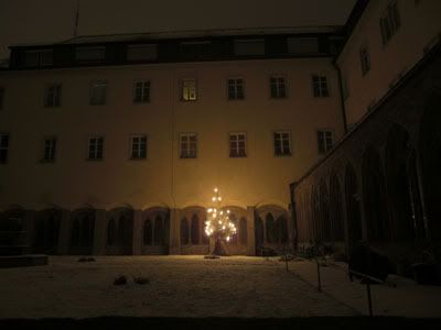 bor u samostanu nocna 1