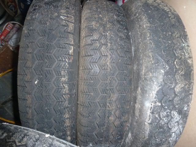 P1070039.jpg