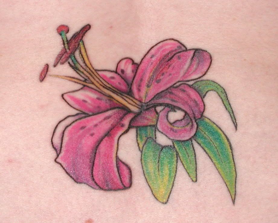 (Stargazer Lily Back Tattoo ) lily allen myspace layouts backgrounds