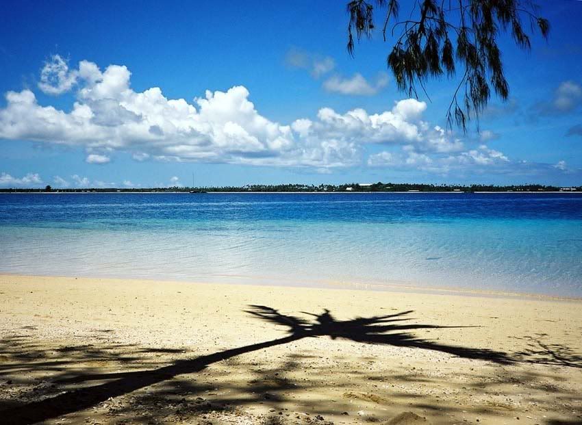 beach nz