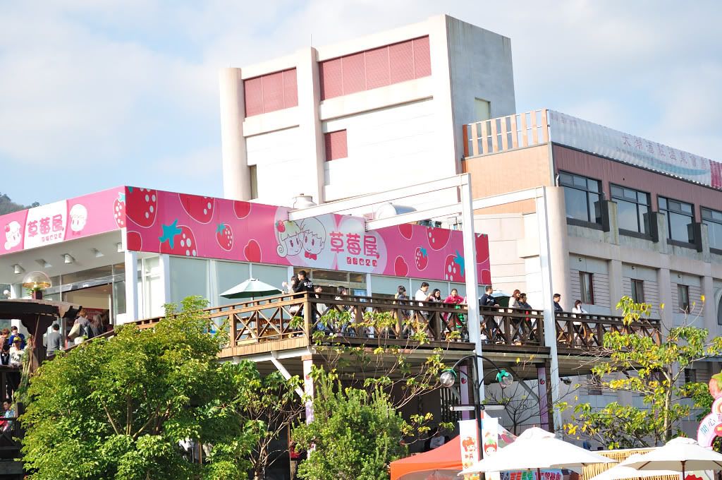 DSC_0351.jpg