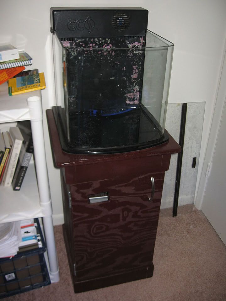 FS Rimless 14g Nano Ecosystem Aquarium AIO Complete Setup! PU