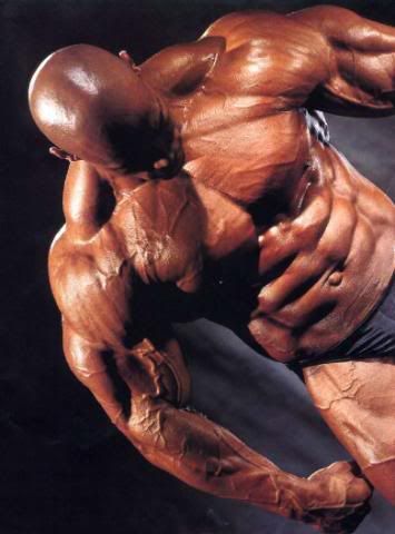 levrone_kevin_12.jpg
