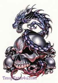 skull n dragon