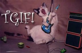 TGIF kitty!